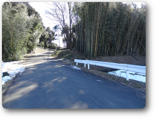竹の伐採作業
