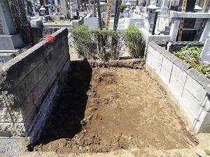 画像の説明