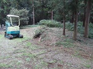 画像の説明