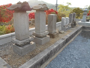 画像の説明
