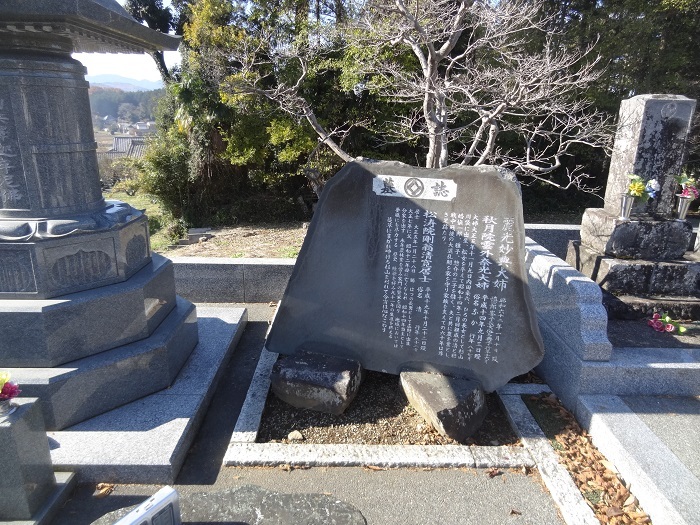 画像の説明